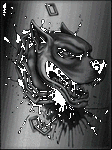pic for Pit Bully